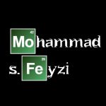 M.S.F